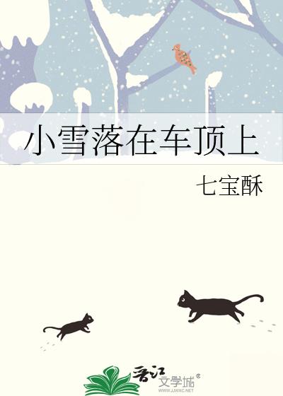 小雪落在车顶上