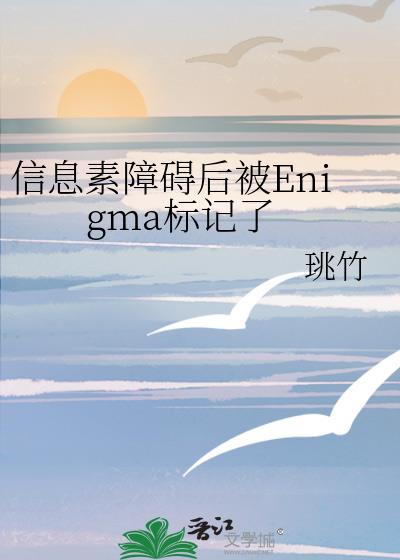 ��Ϣ���ϰ���Enigma�����