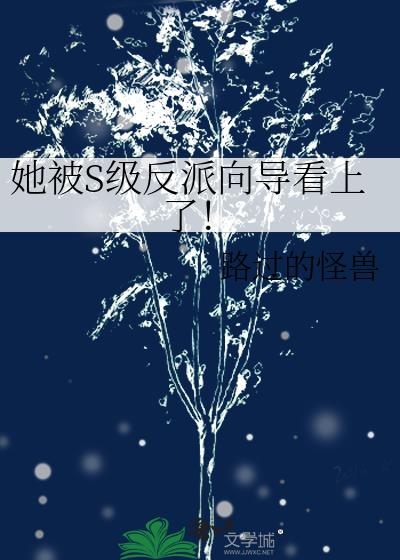����S�������򵼿����ˣ�